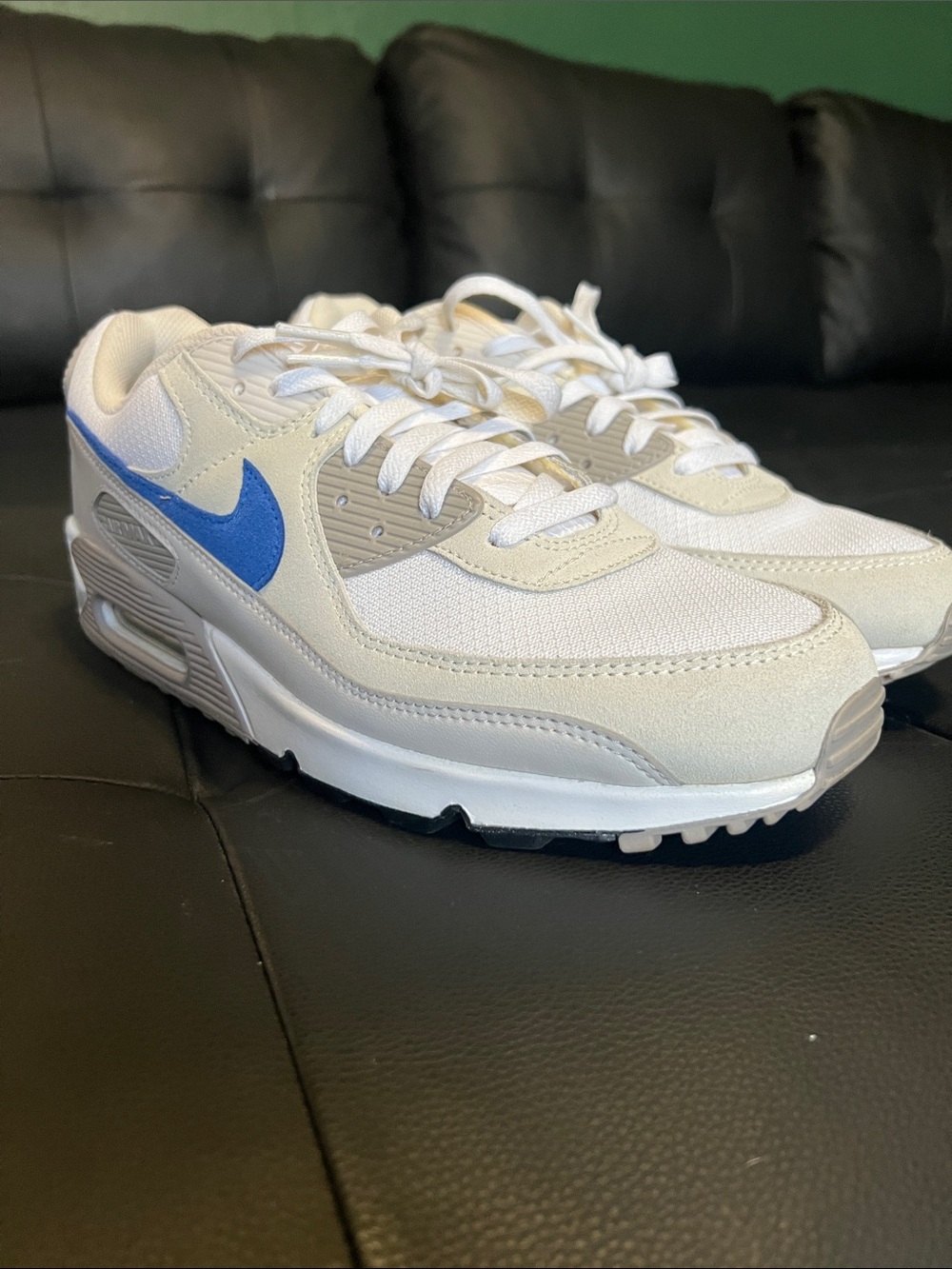 Nike Air Max Sneakers